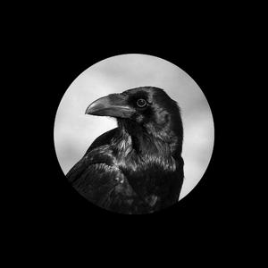 翔田千里无码视频
