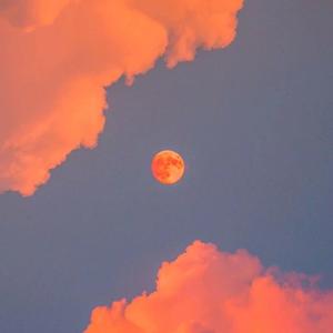 翔田千里无码视频
